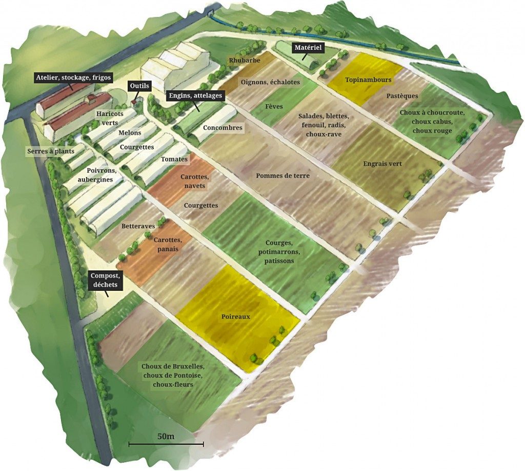 Plan jardin maraicher vu d'avion - Ferme de Videau