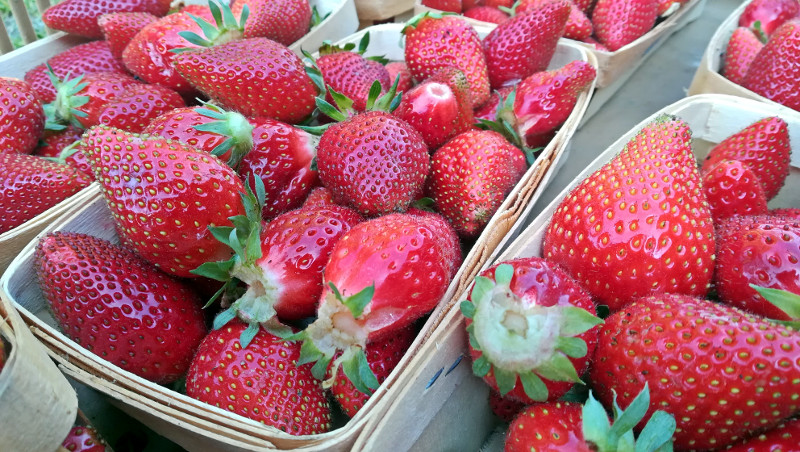 Une Charlotte aux fraisescar les fraises sont enfin là et on les aime  tellement ! - LA CUISINE DE MAMIE CAILLOU